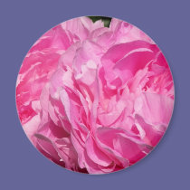 Pink Blossom magnets