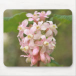 Pink Blossom Mouse Pad