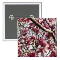 Pink Blossoms buttons