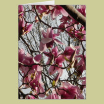 Pink Blossoms cards