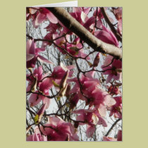 Pink Blossoms cards