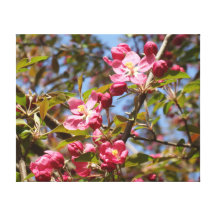 Pink Blossoms Gallery Wrap Canvas