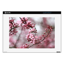 Pink Blossoms in Spring Photo skins