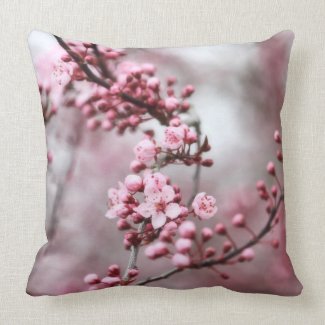 Pink Blossoms in Spring Photo