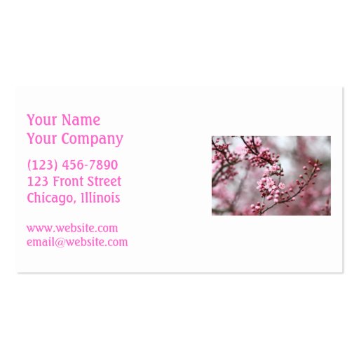 Pink Blossoms in Spring Photo Business Cards (front side)