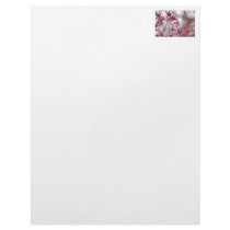 Pink Blossoms in Spring Photo Custom Letterhead