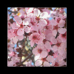 Pink Blossoms Magnet