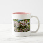 Pink Blossoms Mug