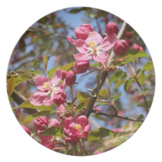 Pink Blossoms Plate
