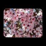 Pink Blossoms Premium Magnet