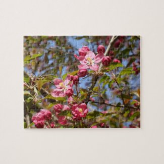 Pink Blossoms Puzzle