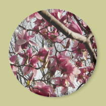 Pink Blossoms magnets