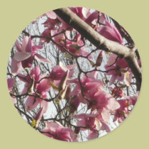 Pink Blossoms stickers