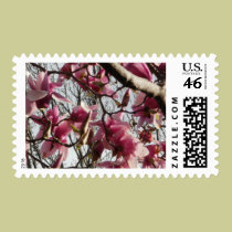 Pink Blossoms stamps