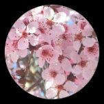 Pink Blossoms Sticker