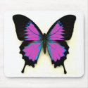 Pink, Blue and Black Butterfly mousepads