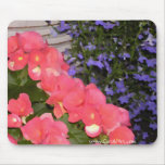 mousepad, mouse pad, computer, mouse, flower,