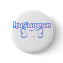 Pink & Blue Havanese