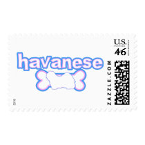 Pink & Blue Havanese Postage Stamps
