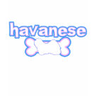 ladies_fitted_twofer_light - Made with just pastel pink and baby blue, these Havanese gifts are absolutely adorable. The breed name is printed at the top, with a dog bone holding the canine silhouette underneath. Cute Havanese merchandise. You can find all the breeds that we have available on apparel & other pet lover items at our website, Menagerie Mayhem.