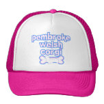 Pink & Blue Pembroke Welsh Corgi Hat