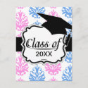 pink blue white damask graduation