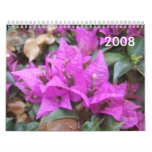Pink Bougainvillea Flowers 2008 Calendar