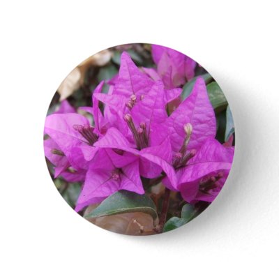 Pink Bougainvillea Flowers Button by kit2008