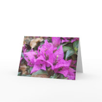 Pink Bougainvillea Flowers Greeting Card by kit2008 Pink Bougainvillea Flowers Greeting Card