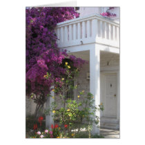 Pink Bougainvillea growing outside a house, GREECE Greeting Card