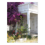 Pink Bougainvillea growing outside a house, GREECE Post Card