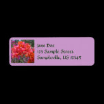 Pink Bougainvillea Return Address Label