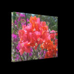 Pink Bougainvillea Stretched Canvas Print