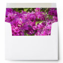 Pink Bougainvilleas Envelope zazzle_envelope