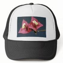Pink Bouganvillea spectabilis flowers Hat