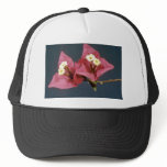 Pink Bouganvillea spectabilis flowers Hat