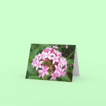 Pink bouquet cards