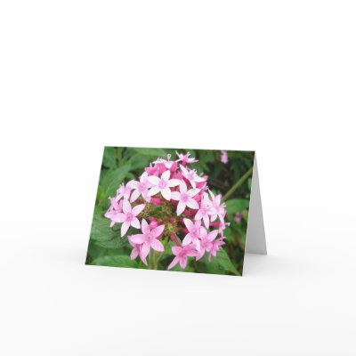 Pink bouquet greeting card by wendyqzx