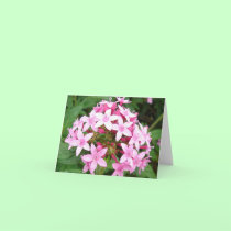 Pink bouquet v2 cards