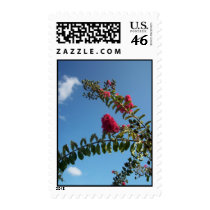 pink branches in the sky postage by bonnievoyage pink branches in the sky postage