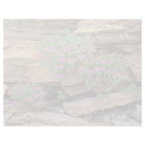 Pink Broad-leaved willow herb, Northwest Territori Letterhead