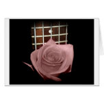 Pink brown tinted rose bloom 5 string bass fret cards