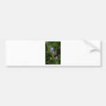 Pink Buds Bumper Stickers