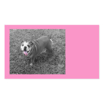 pink bully business cards by jvinnyg pink bully business cards