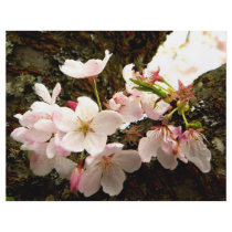 Pink Bunch Custom Flyer