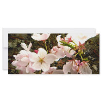 Pink Bunch Rack Card Design