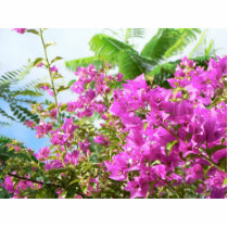 Pink Bush Flowers photo sculptures