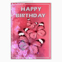 Pink butterflies cards