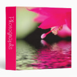 Pink Cactus Bloom with Reflection 1.5" Photo Album 3 Ring Binders