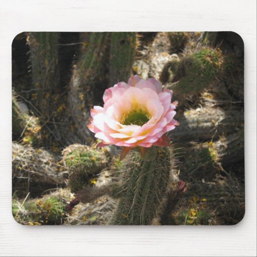 Pink Cactus Flower Mouse Mat